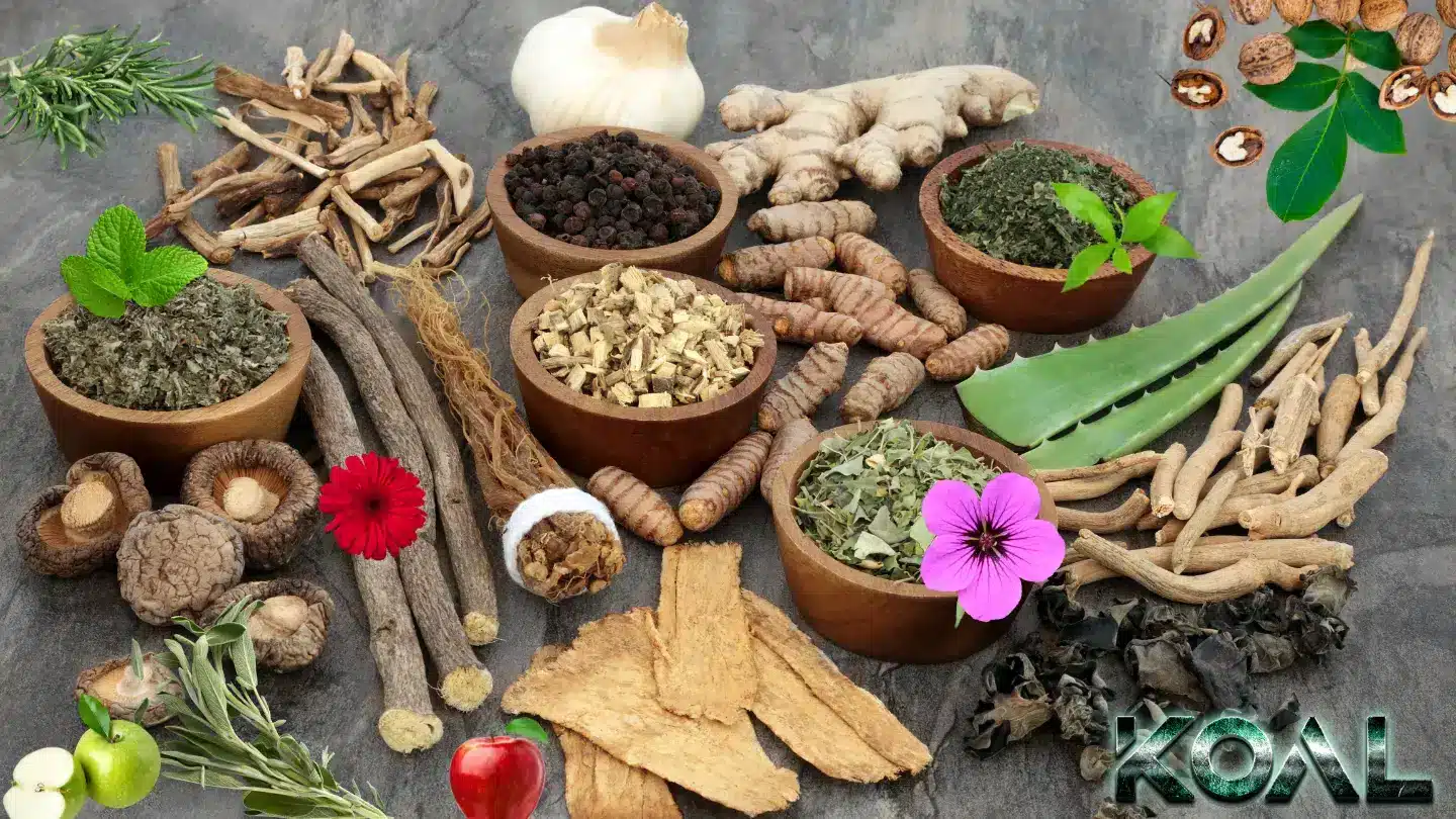 معرفی موثر ترین داروی گیاهی برای عرق نکردن بدن