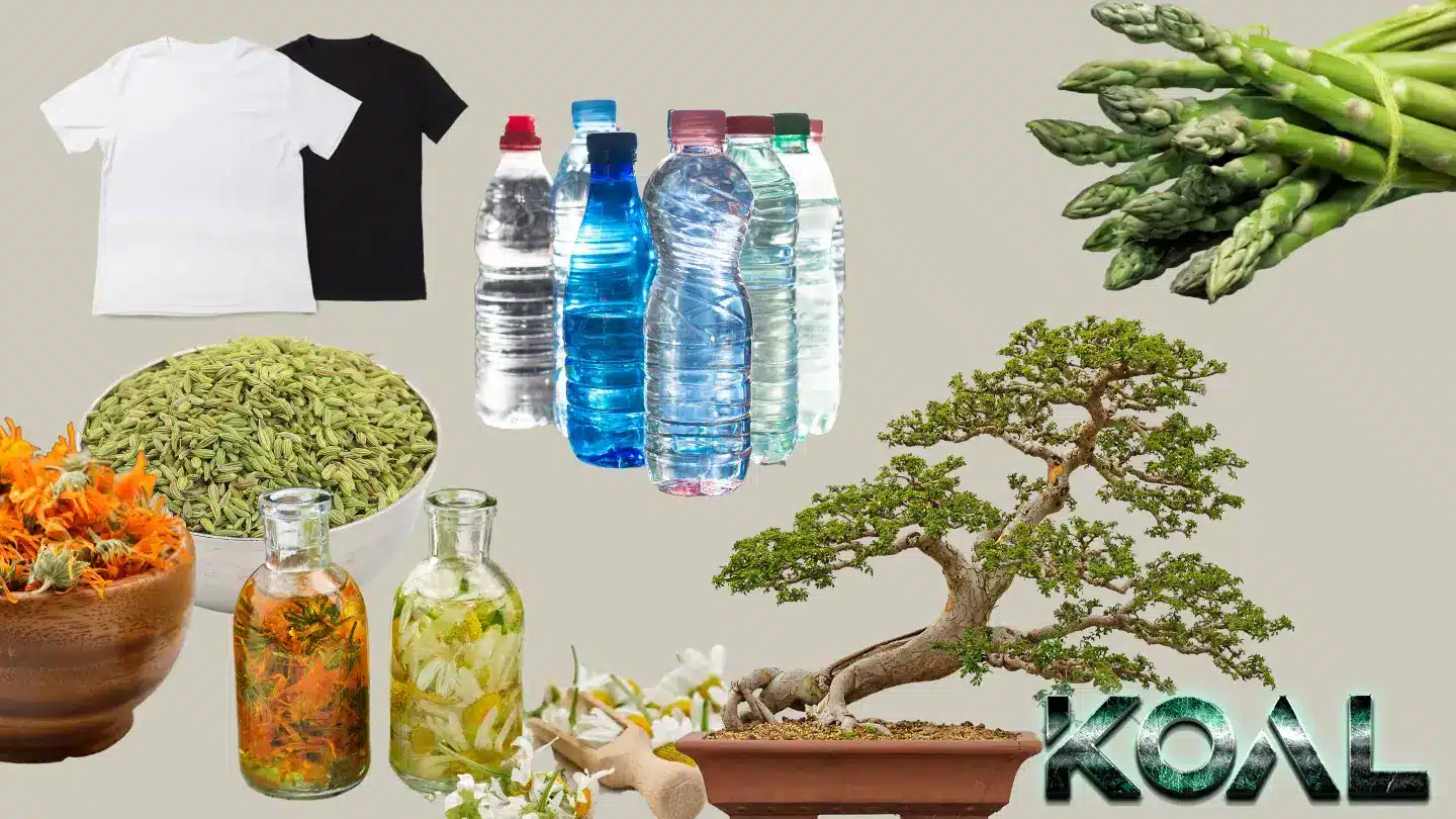گیاهان دارویی برای درمان عرق سرد - کوال