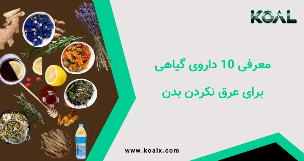 معرفی 10 داروی گیاهی برای عرق نکردن بدن | کوال-بهترین ضد عرق زیر بغل گیاهی