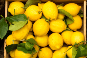 رفع بوی یخچال؛ راهنمای کامل از بین بردن بوی بد یخچال با روشهای ساده و کاربردی 6 لیمو